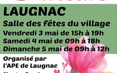 Marché aux fleurs (3 au 5 mai)
